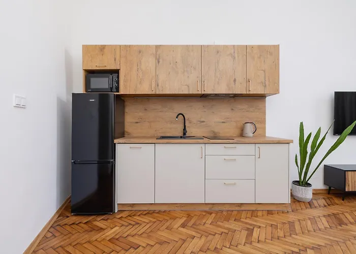 公寓 With Ac - Augustianska 1